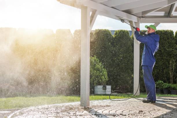 Best Pre-Holiday Cleaning  in Lakeview, MI